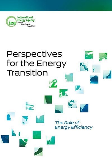 Perspectives for the energy transition: the role of energy efficiency 